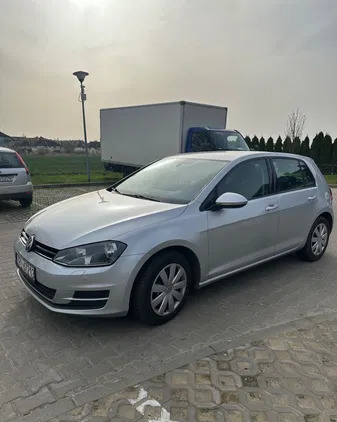 volkswagen Volkswagen Golf cena 37000 przebieg: 239000, rok produkcji 2014 z Szczecin